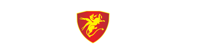Wild Dragon Energy Drink
